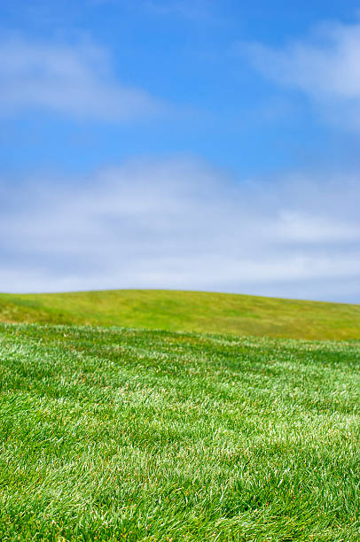 istock Close-up of Grassy Knoll with Cloudy Sky in Background 616870892