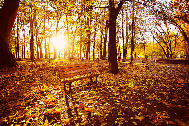 istock Bench in the autumn park 616873176