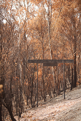 View of a roadside sign destoyed by bushfire