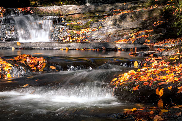 Multiple Level Waterfall 60+ Multilevel Waterfall Stock Photos, Pictures & Royalty-Free Images ...