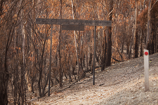 View of a roadside sign destoyed by bushfire