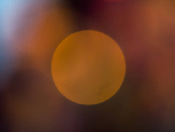 istock Blur light and colorful on black background 616873998