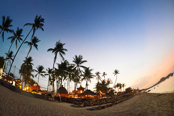 istock Cafe and palms on the beach in the evening 616874596