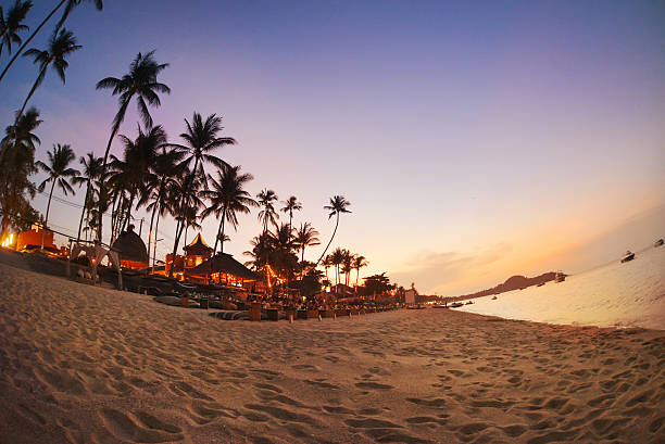 istock Cafe and palms on the beach in the evening 616874694