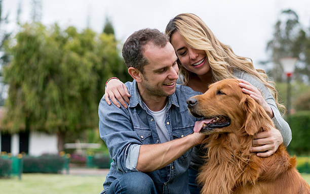 istock Couple pampering a beautiful dog 616878132