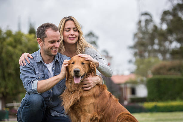 istock Happy couple with their dog 616878156
