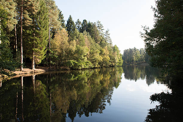 istock Mallard's Pike Lake, Forest of Dean 616878680