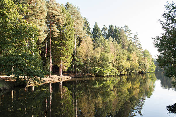 istock Mallard's Pike Lake, Forest of Dean 616878788
