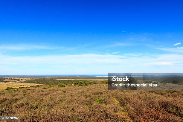 New Addo Look Out Beautiful Stock Photo - Download Image Now - Africa, Backgrounds, Horizontal