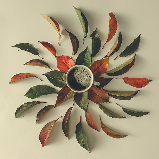 Creative autumn layout with leaves and coffee cup.