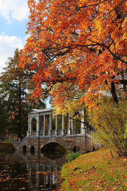 istock The ancient bridge in the autumn park 616880024