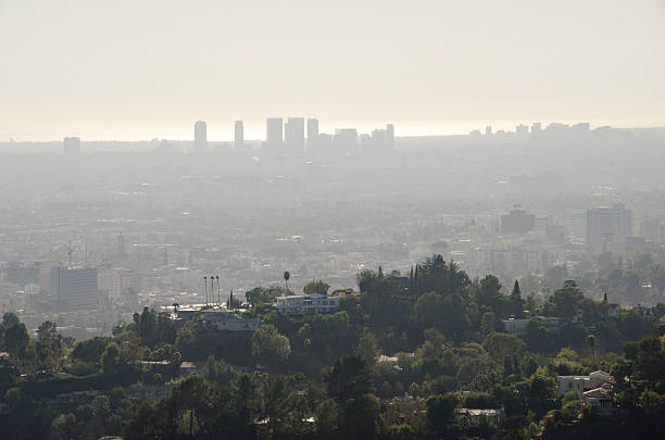 istock Los Angeles Skyline in Distance 616880920