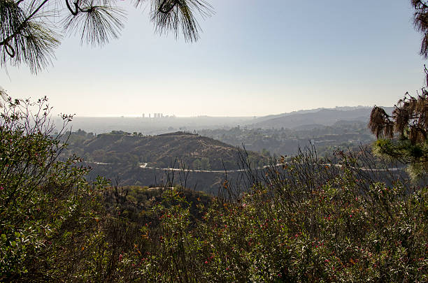 istock Los Angeles Skyline in Distance 616881198