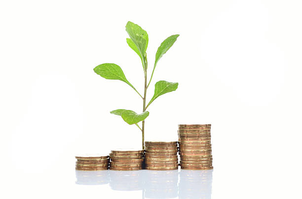 istock Financial Growth concept, Stack golden coin over white backgroun 616882224