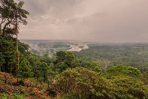 istock Ecuadorian Part Of The Amazonian Basin 616885462
