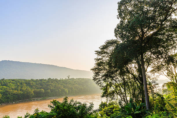 early morning Mekong riverside in the forest view, thailand