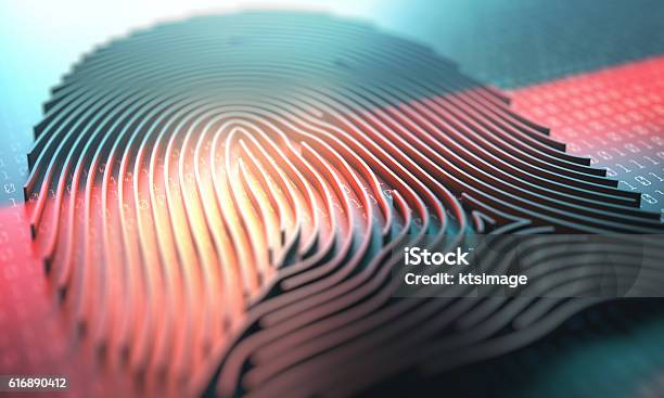 Fingerprint Biometric Reader Stock Photo - Download Image Now - Fingerprint, Biometrics, Identity