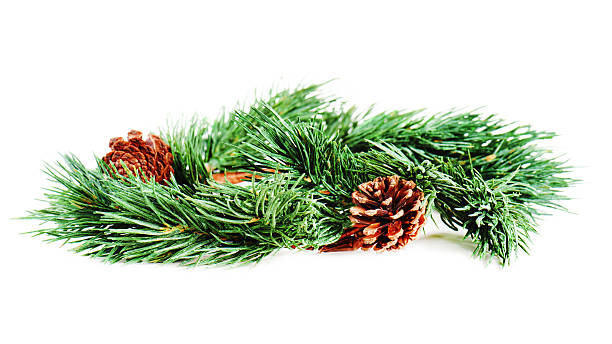 istock wreath of fir branches isolated on white background, selective f 616891364