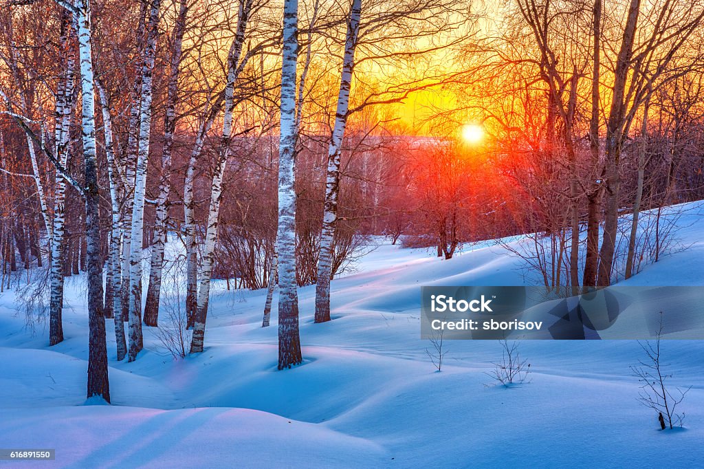 Colorato tramonto invernale - Foto stock royalty-free di Inverno