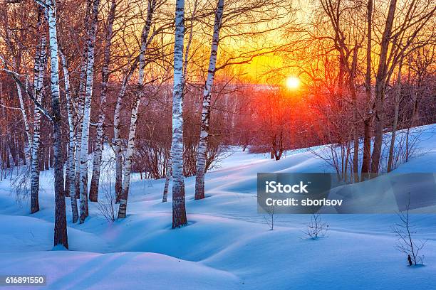 Colorato Tramonto Invernale - Fotografie stock e altre immagini di Inverno - Inverno, Paesaggio, Tramonto