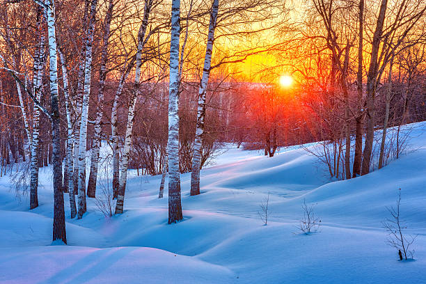 красочные зимний закат - sky winter sun snow стоковые фото и изображения
