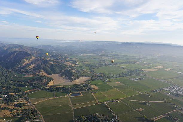 istock Hot Air Balloon in Napa 616892058