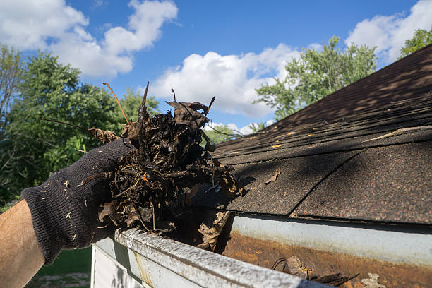 istock Handyman Removing Leaves And Sticks From Gutter 616892514