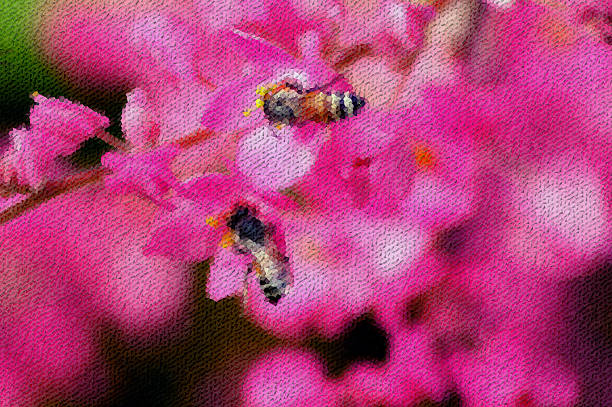 istock Custom made photo art,Flowers abstract and color blurred. 616892938