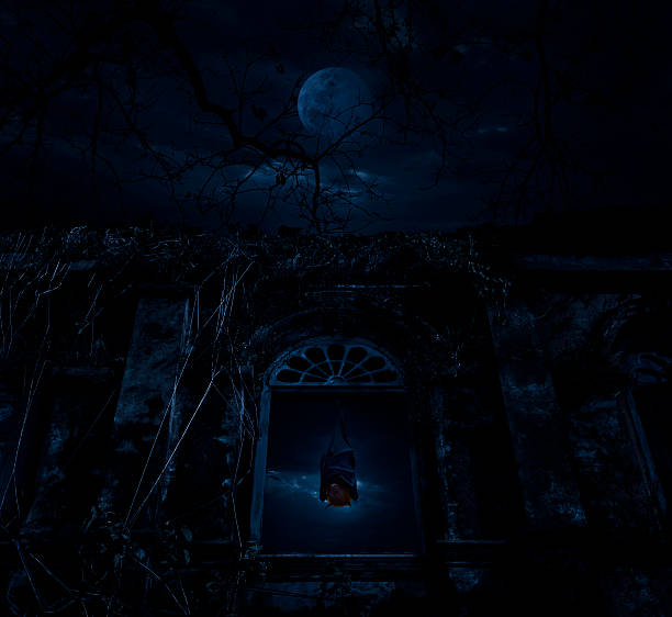 istock Bat sleep and hang on ancient window castle, Halloween concept 616895814