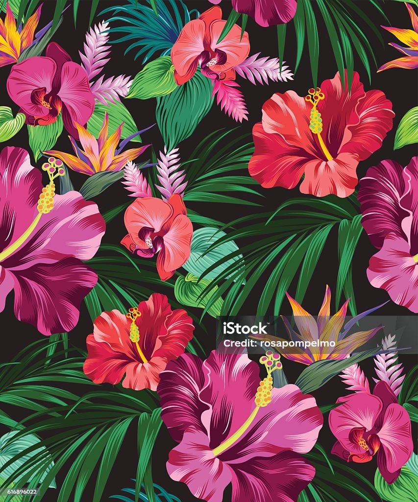 hibiscus vector pattern vector exotic floral pattern on black background. for fashion, swimwear, activewear. Amazing palms and flowers. Orchid stock vector