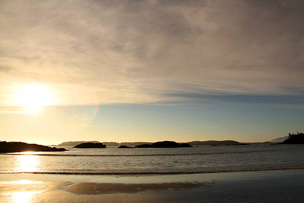 Unmatched Tofino Gold