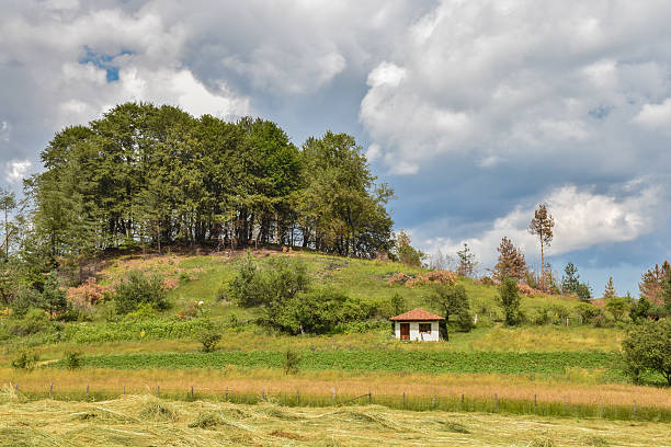 Small countryside house next to a small hill with trees