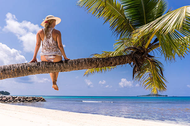 istock Rear view of a woman relaxing on a palm tree. 616901782