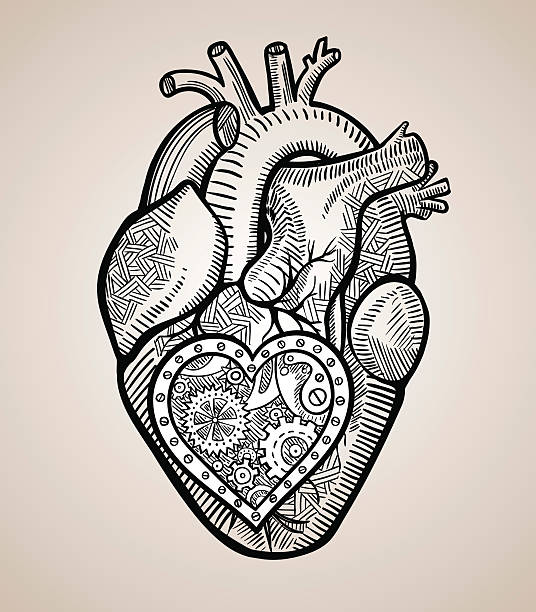 The human heart with a mechanical heart inside The human heart with a mechanical heart inside in the graphic style human heart sketch stock illustrations