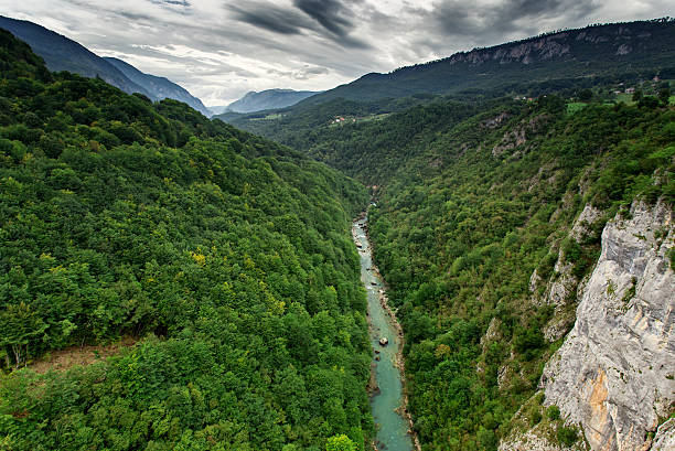 istock Tara river canyon at summertime, nature landscape. Montenegro 616903516