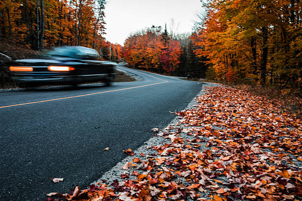 istock Road in canadian parks area in fall 616904588