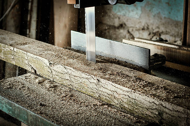 istock Carpenter cutting wood with saw 616905968