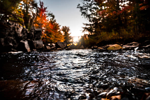istock Beautiful mountain river in Ontario - Canada 616906686