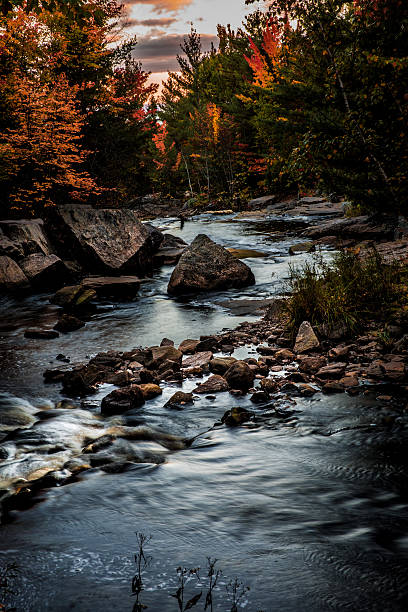 istock Beautiful mountain river in Ontario - Canada 616906834