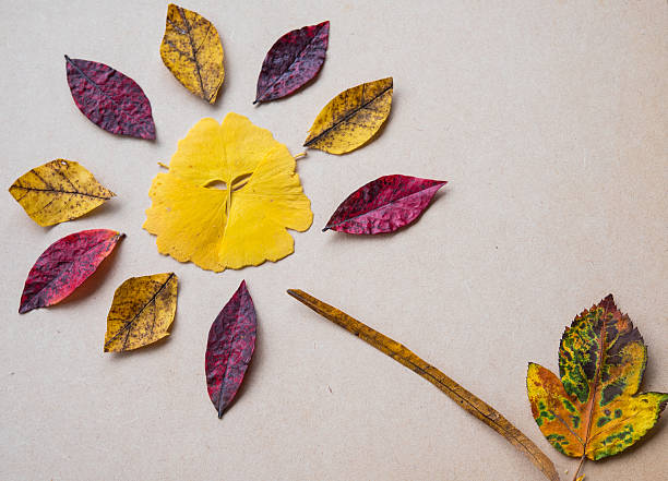 istock Autumn leaves flower collage 616907474