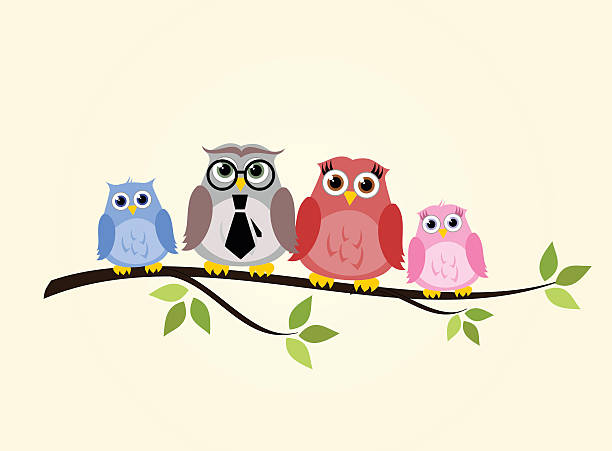 illustrazioni stock, clip art, cartoni animati e icone di tendenza di famiglia gufo seduta su un ramo illustrazione vettoriale - bird spring family cartoon