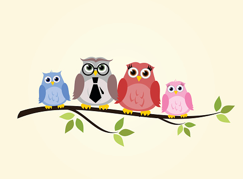 Owl family sitting on a branch  - vector illustration isolated on white background