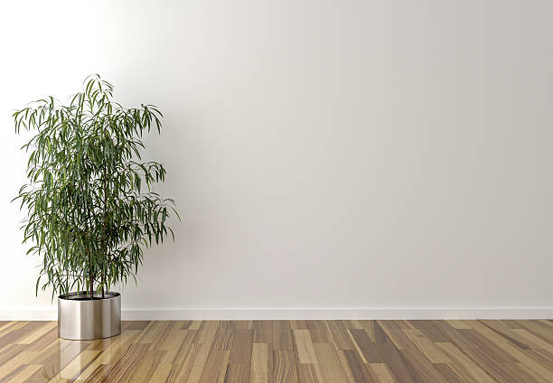 istock Solo interior plant and blank wall in background 617352822