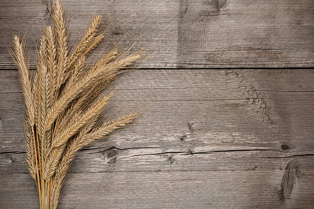 istock Wooden board gray, barley 617354566
