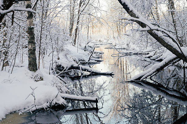 istock Fairytale forest and river by winter morning 617354622