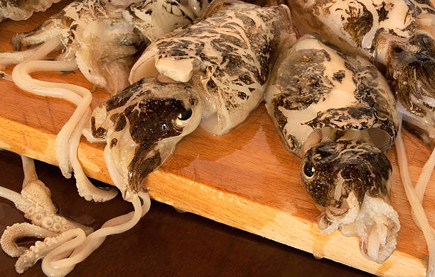 istock Cuttlefish on wooden chopping board 617356494