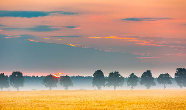 istock Magical morning on polish field. 617357034