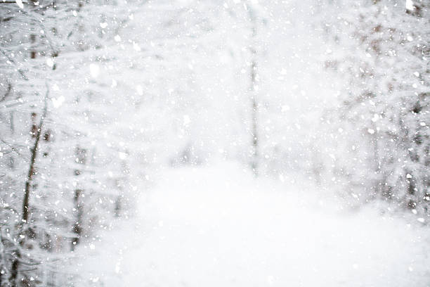 istock Snowman in the woods 617359846