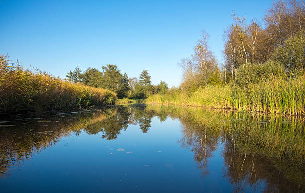 istock Weerribben-Wieden nature reserve during a beautiful fall day 617360014