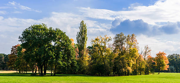 istock autumnal panorama - autumn background 617360510